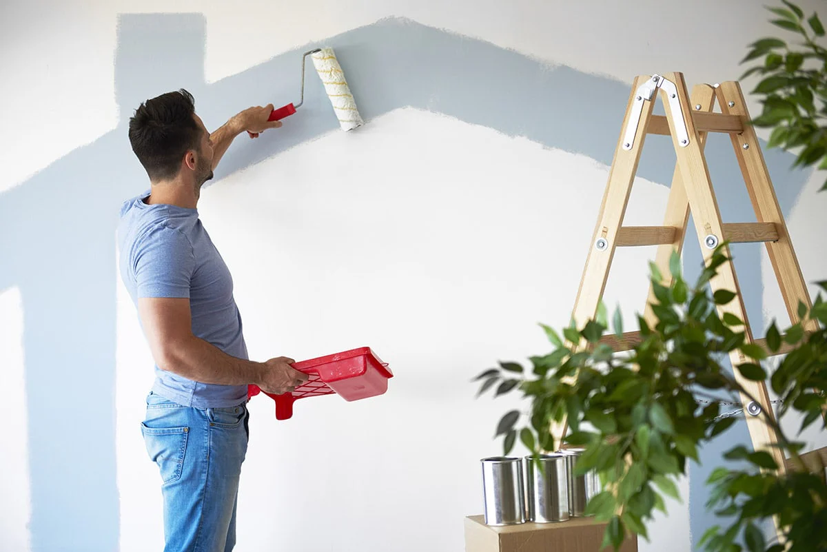 Wall Painting & Finishing